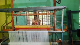 To empower women, Chhattisgarh govt launches handloom training programme in naxal-hit Dantewada